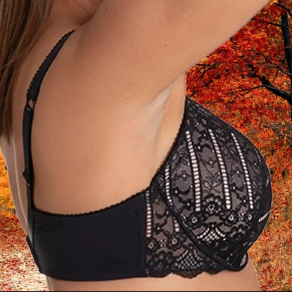 DORINA Women's Celine Light Padded Underwire Bra in Black Size 38F